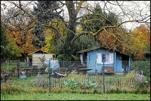 comp_Herbst Idyll hinter Gittern (2).jpg