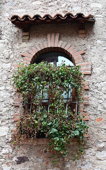 DSC_3158_k.jpg