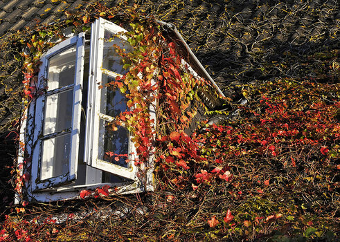 Borkum-Herbst.jpg