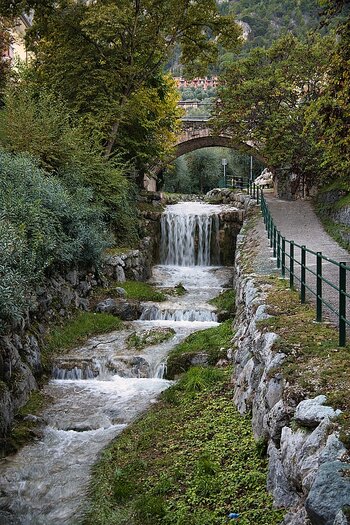 DSC_3005_l_k.jpg