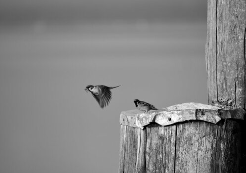 DSC_5662.JPG