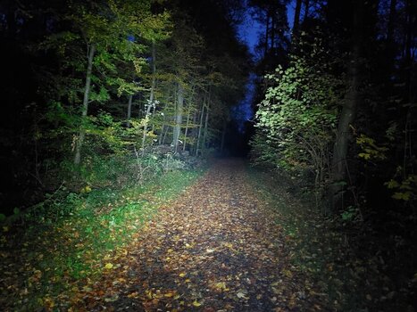 20231111_173015.jpeg