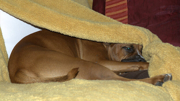DSCF0027.jpg