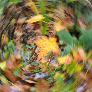 50560409306_d79ab09d58_o.jpg