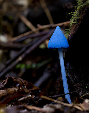 _DSC8173s.jpg