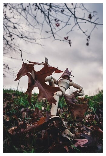 xKunstantin Herbststurm (1 von 1).jpg