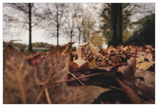 xKunstantin Herbstsblättermeer (1 von 1).jpg