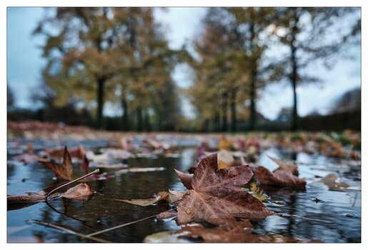 xHerbst Wege.jpg