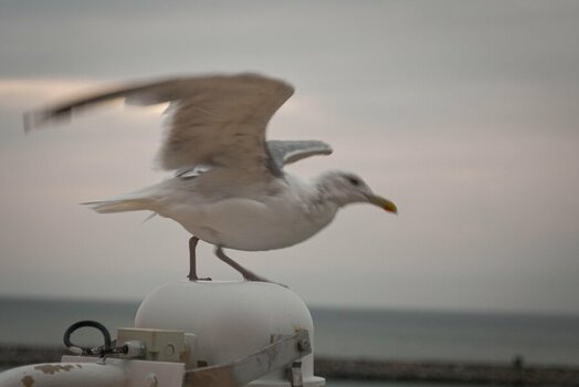 90BC8609-BD0E-49EC-A662-829553EA6FC6.jpeg