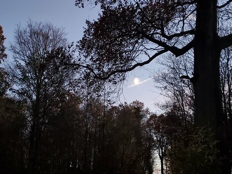 20231119_171217.jpeg