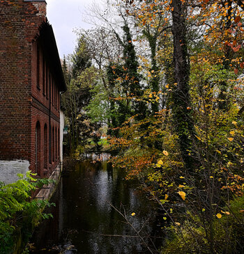 DSC_9918.jpg