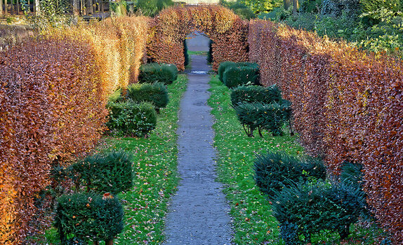 Rosengarten-web.jpg