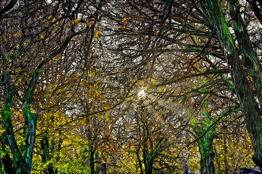 Stadtpark.jpg