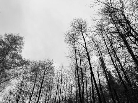 IMG_1923.jpeg
