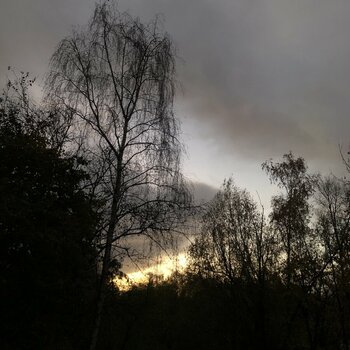 IMG_1920.jpeg