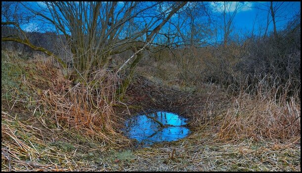 comp_An der Wasserstelle.jpg