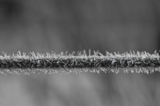 DSC_6863s.jpg