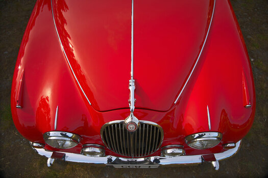 DSC_7208_01s.jpg