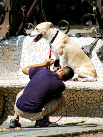 barcelona_hund.jpg