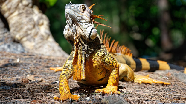 DSC_1287_DxO-1.jpg