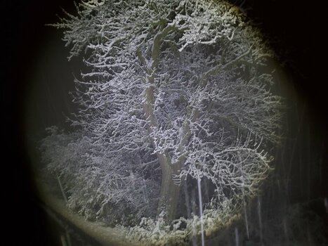20231201_173729.jpeg