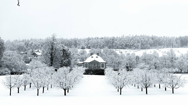 IMG_8783 Schnee Schloss.jpg