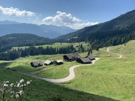20230908-143510.Rotwandalm Niederleger.jpg