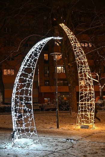 DSC_3857_k.jpg