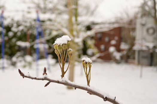 letzte Version.jpg 60.jpg