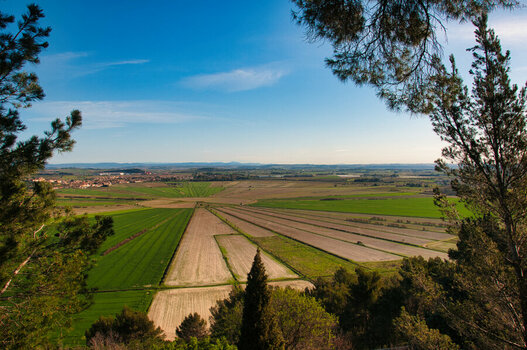 2013_04_13_D300S_DSC2707.jpg
