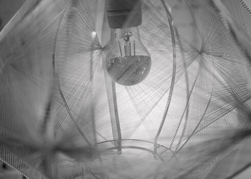bulby-web.jpg