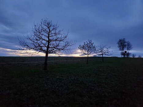20231129_165410.jpeg