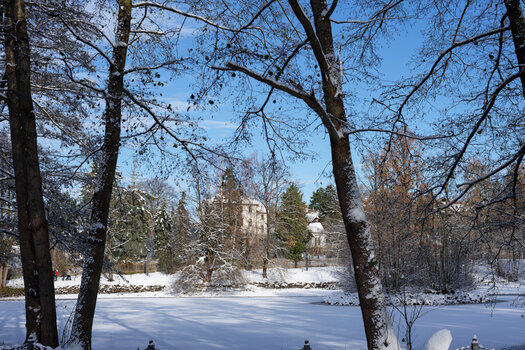 750_7143_DxO.jpg