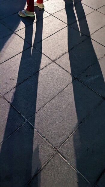 schatten.jpg