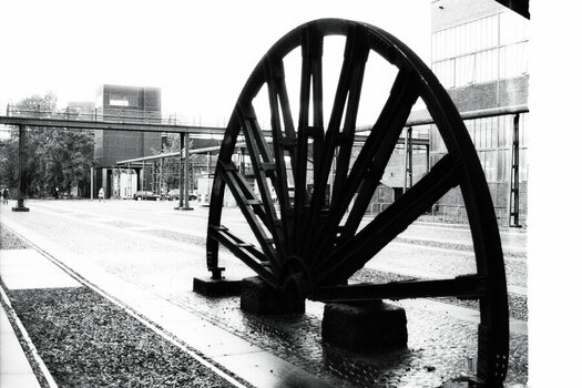 imm035_N3.jpg