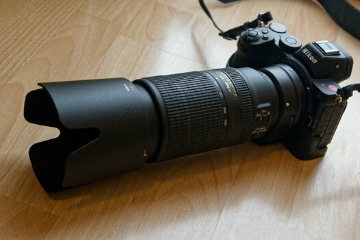 DSC_2596_DxO.jpg