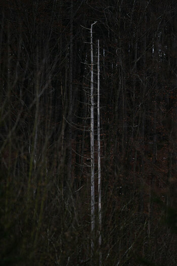 DSC_0095_01.JPG