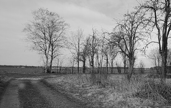 _DSC3377.jpg
