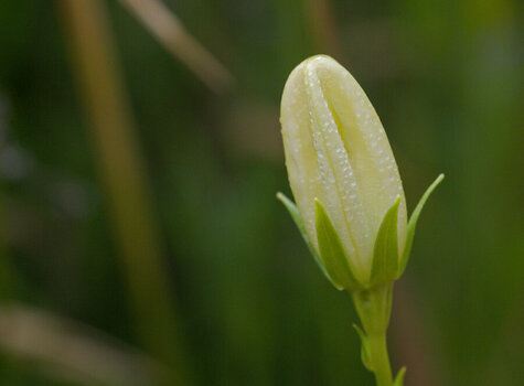 DSC_9321s.jpg