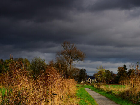 DSC_0156.JPG
