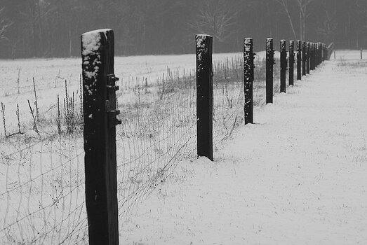 comp_IMGP8925.jpg