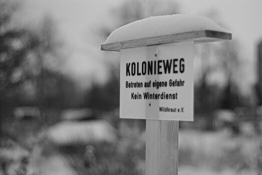 comp.IMGP5052.sw.jpg