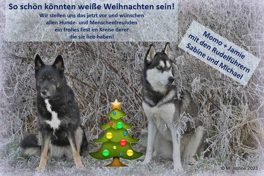 Weihnachten 2023 02.jpg Weihnachten 2023 02.jpg