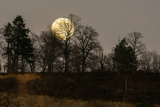 _ROB9499 Mond.jpg
