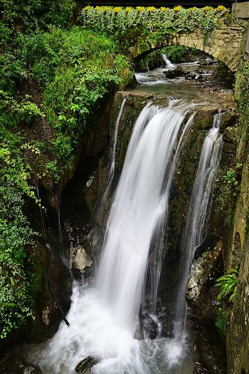 DSC_3059_k.jpg