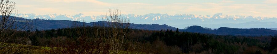 DSC_8010 b.jpg
