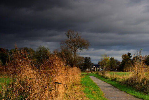DSC_0155.JPG