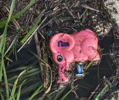 elefant.jpg