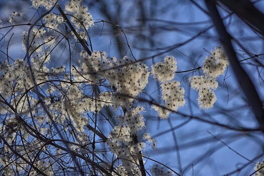 DSC_1983.2.jpg