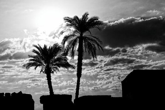 DSC_6576_DxO.jpg